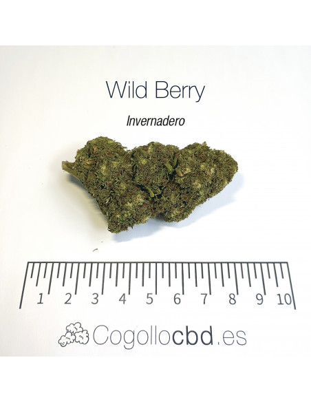 WILD BERRY 7.25% CBD - Invernadero