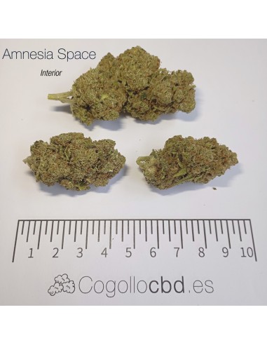 AMNESIA SPACE - Interior