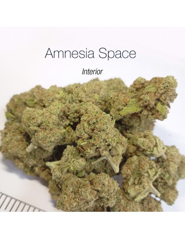 AMNESIA SPACE - Interior