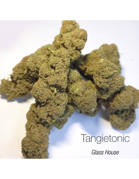 TANGIETONIC 9.24% CBD - Glass House
