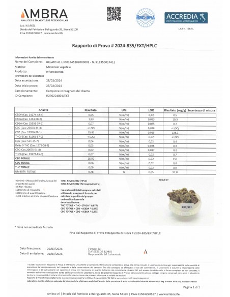 GELATTO 41 15.5% CBD - Glass House