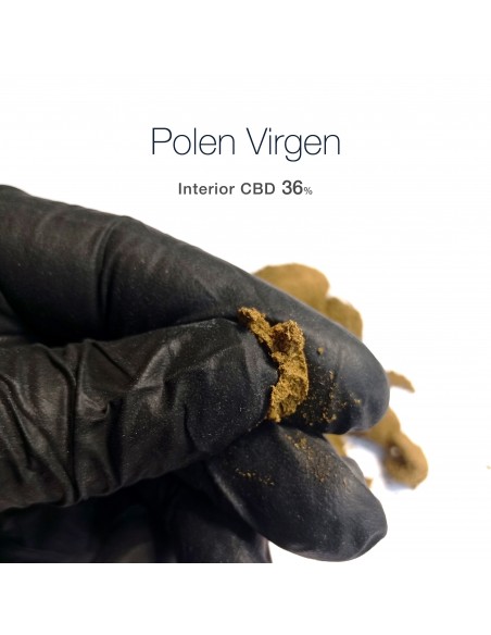 POLEN VIRGEN Edición Limitada