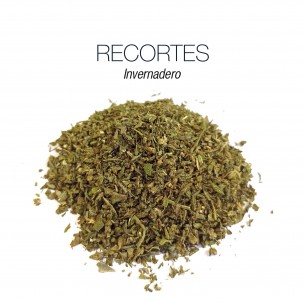 RECORTES CANNATONIC 5.52% CBD - Invernadero