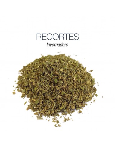 RECORTES CANNATONIC 5.52% CBD - Invernadero