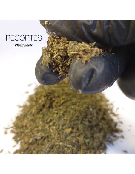 RECORTES CANNATONIC 5.52% CBD - Invernadero