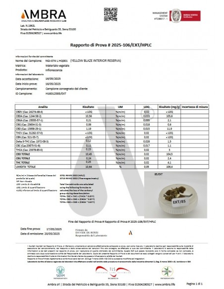 YELLOW BLAZE 10.45% CBD - Interior Reserva