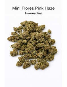 Mini Flores Pink Haze 13.57% CBD - Invernadero