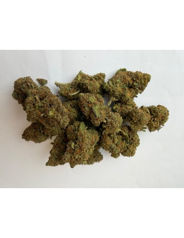 Orange Tonic 3,07% CBD - Glass House