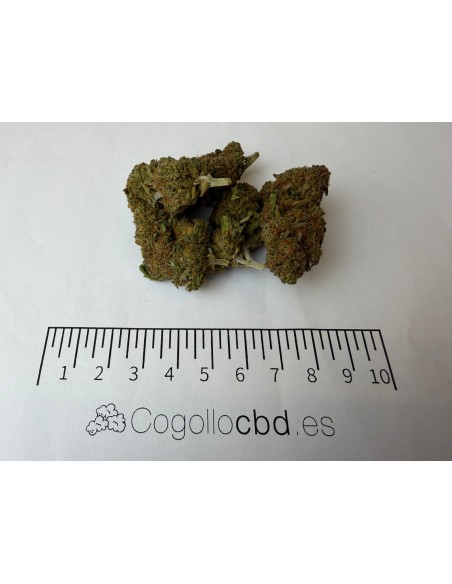 Orange Tonic 3,07% CBD - Glass House
