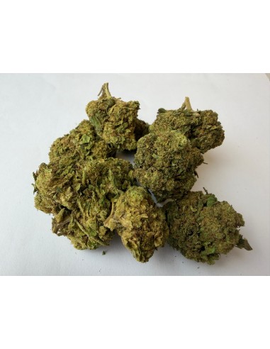 Alien 15,63% CBD - Glass House