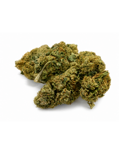 AMNESIA 20,09% CBD - Glass House
