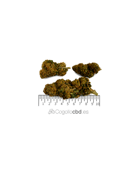 AMNESIA 20,09% CBD - Glass House
