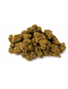SWEET KARMA 5.95% CBD - Invernadero