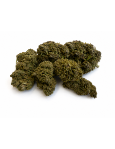 ULTRA PINK 14.88% CBD - Invernadero