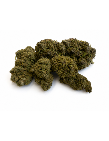 ULTRA PINK 14.88% CBD - Invernadero