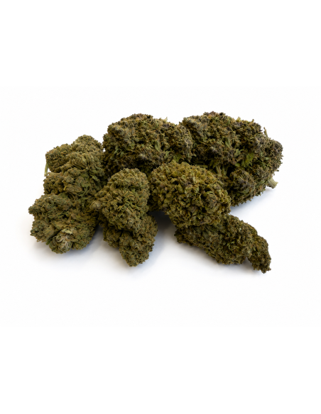 ULTRA PINK 14.88% CBD - Invernadero
