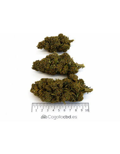 ULTRA PINK 14.88% CBD - Invernadero
