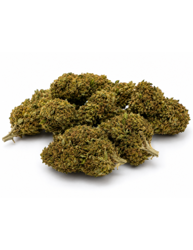 APPLE FRITZER 6.8% CBD - Invernadero