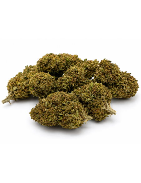 APPLE FRITZER 6.8% CBD - Invernadero