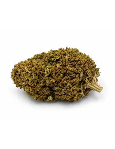 APPLE FRITZER 6.8% CBD - Invernadero