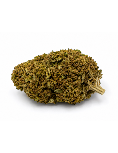 APPLE FRITZER 6.8% CBD - Invernadero