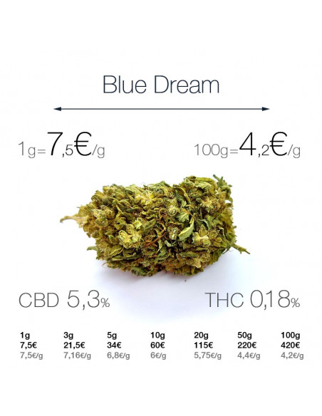 Blue Dream - cogollo CBD