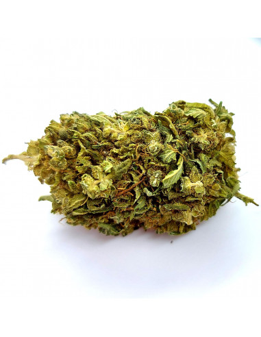 Blue Dream - cogollo CBD
