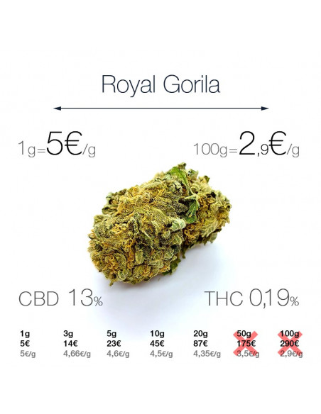 Royal Gorila - cogollo CBD