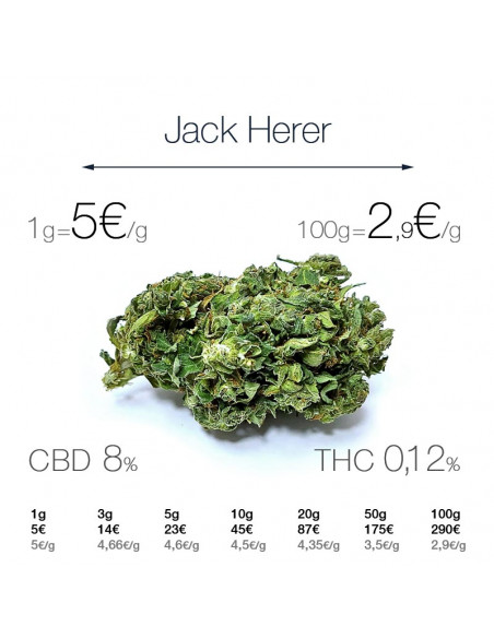 Jack Herer - cogollo CBD