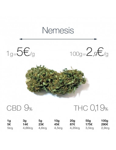 Nemesis - cogollo CBD