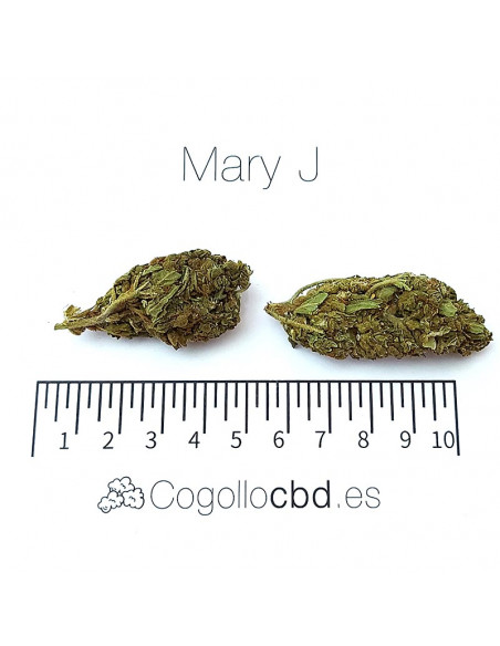 MARY JANE - Exterior