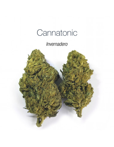 CANNATONIC 5.5% CBD - Invernadero