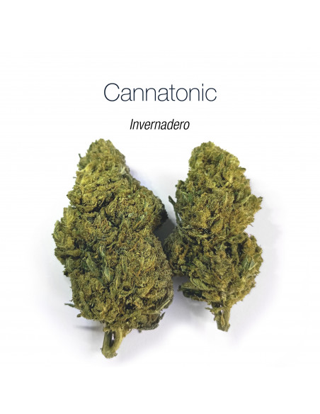 CANNATONIC 5.5% CBD - Invernadero