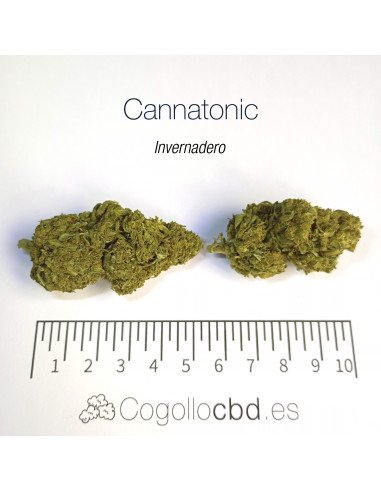 CANNATONIC 5.5% CBD - Invernadero
