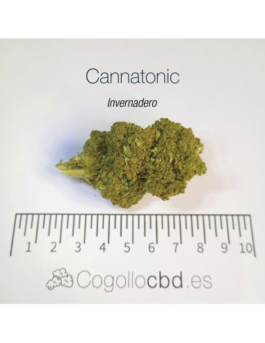 CANNATONIC 5.5% CBD - Invernadero