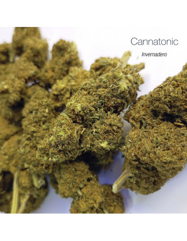 CANNATONIC 5.5% CBD - Invernadero