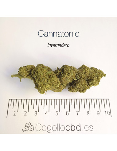 CANNATONIC 5.5% CBD - Invernadero