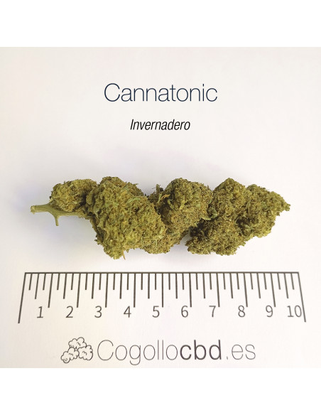 CANNATONIC 5.5% CBD - Invernadero