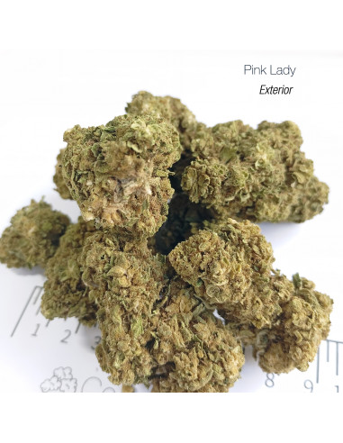 PINK LADY - Exterior