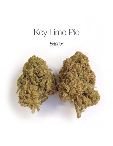 KEY LIME PIE - Exterior