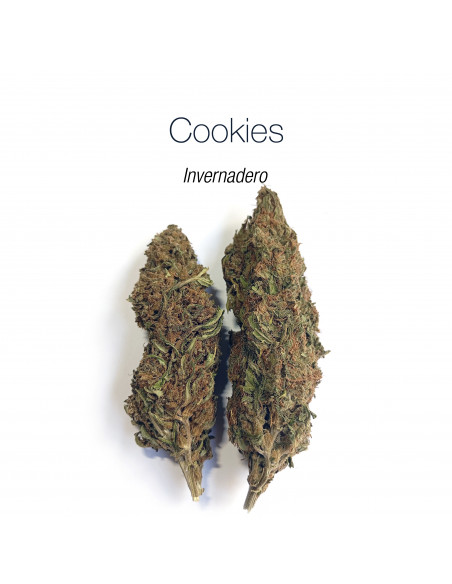 VELVET COOKIES 8.9% CBD - Invernadero