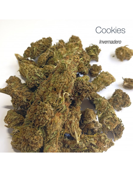 VELVET COOKIES 8.9% CBD - Invernadero