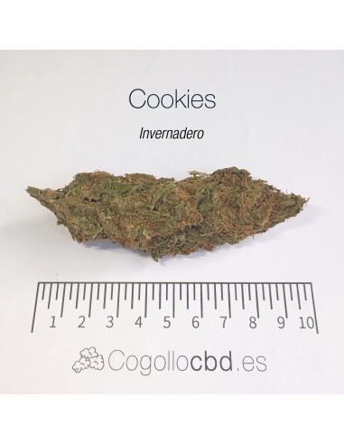 VELVET COOKIES 8.9% CBD - Invernadero