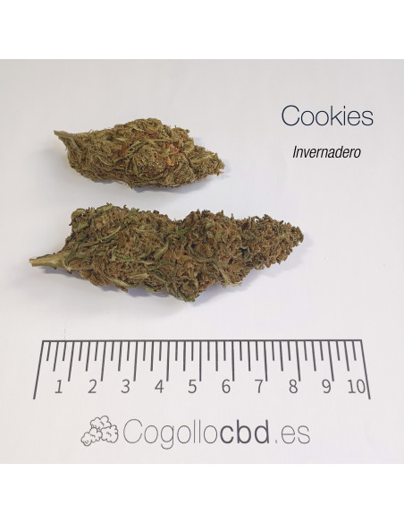 VELVET COOKIES 8.9% CBD - Invernadero