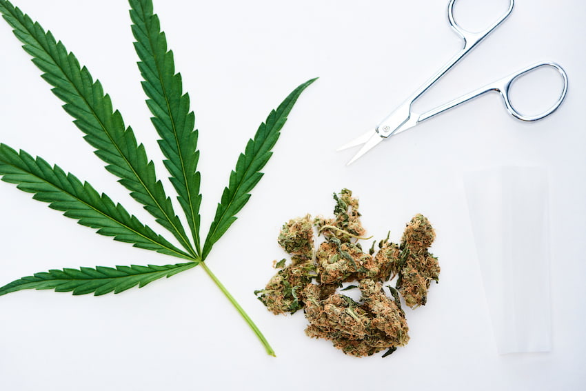 triturar marihuana