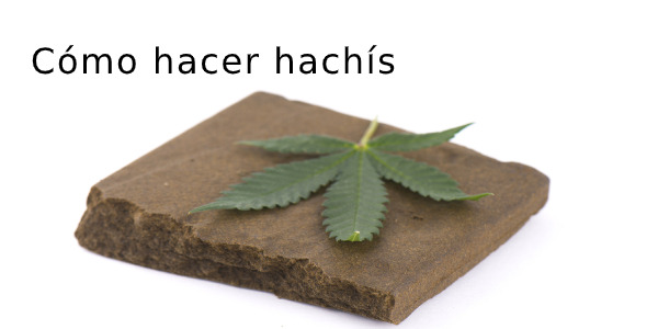 Cómo hacer hachís: 5 métodos para preparar hachís en casa