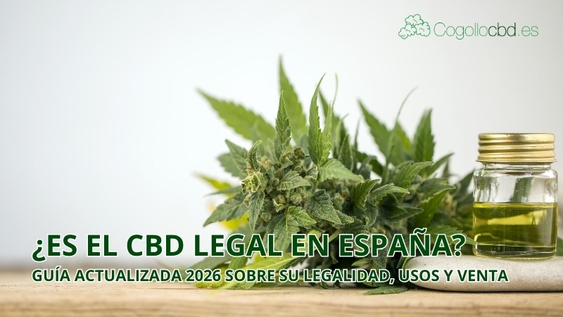 ¿Es el CBD legal en España? Guía actualizada 2026 sobre su legalidad, usos y venta
