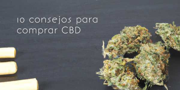 10 consejos para comprar CBD